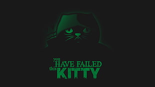 you have failed this kitty text on black background, quote HD wallpaper