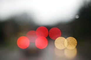 bokeh photography HD wallpaper