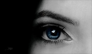 black and white photo of eyeball HD wallpaper