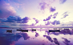 boats floating on water, nature, boat