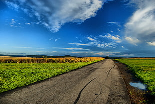 pathway between green grassy field under blue sky during day time HD wallpaper