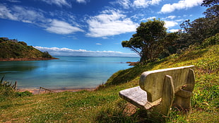 photo of brown wooden bench front of seashore during daytime