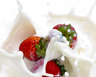 three red strawberries covered with white milk HD wallpaper