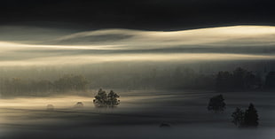 silver-colored diamond ring, landscape, photography, nature, mist