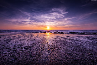 beach during sunset