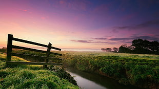 green grass field, landscape, field, sky