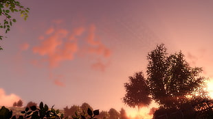 green leaf tree, sun rays, BioShock Infinite: Burial at Sea, lighthouse, clouds HD wallpaper