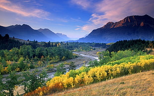 river near forest wallpaper, nature, landscape, river, fall