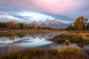 photograph of brown mountain and trees during daytime, grand teton national park