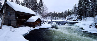 brown wooden cabin house during winter season