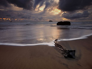 brown rock isle, beach, landscape, sea, nature