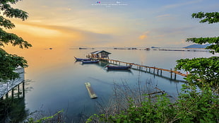 three boats docked near house during golden hour