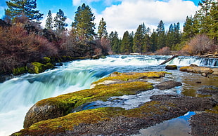 time lapse of blue falls surrounded green trees photography