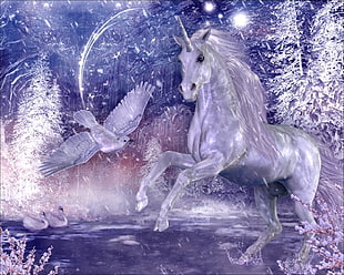 photo of white Unicorn and white bird during snow season HD wallpaper