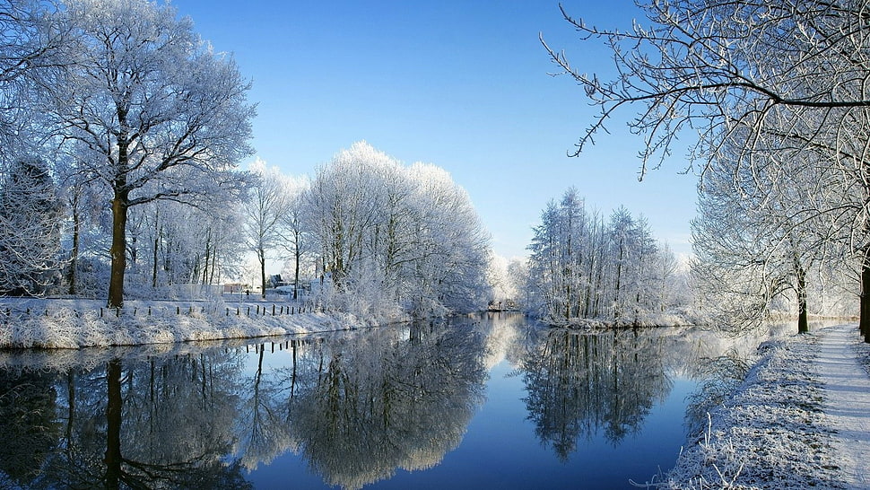 body of water, nature, winter, river HD wallpaper
