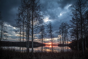 silhouette photography of forest and river under blue cloudy sky