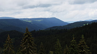 green mountain, landscape, forest, mountains, green HD wallpaper