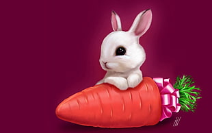 white rabbit holding red carrot illustration HD wallpaper
