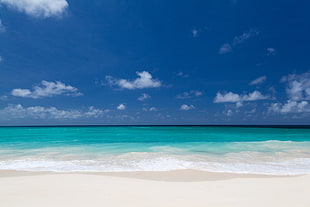 landscape photography of beach