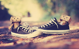 black Converse All-star with cardboard box toy