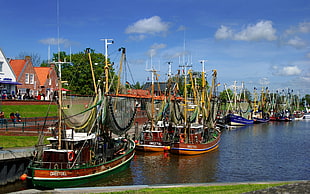 assorted colors of sailing ships on body of water beside shore