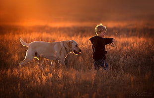 white dog and boy walking on grass HD wallpaper