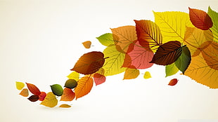 red and multicolored leaf illustration HD wallpaper