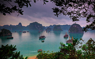 aerial photo of islets, landscape, Ha Long Bay, Vietnam, nature HD wallpaper