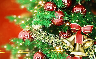 closeup photo of a Christmas tree with baubles HD wallpaper