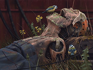 green and black feathered bird, cyberpunk, artwork, robot, rust HD wallpaper