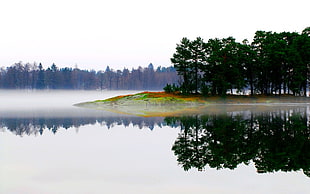 calm water of lake with pine trees as background HD wallpaper