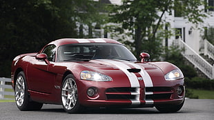 red sport car, car, Dodge, Dodge Viper, red cars