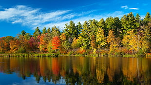 reflection of trees on body of water, fall, forest, river, nature HD wallpaper