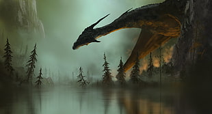 dragon in forest illustration