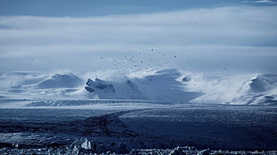 snow-covered mountain, birds, mountains, winter, snow