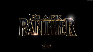 Black Panther poster HD wallpaper