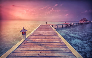 brown bridge on body of water during sunset