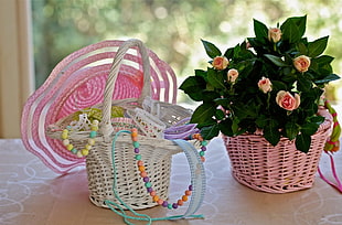 green leaf plant on brown basket