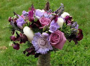 portrait photo of assorted flowers