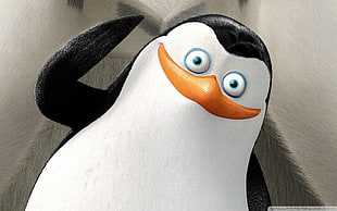 Penguins of Madagascar movie still, Penguins of Madagascar, cartoon, movies HD wallpaper