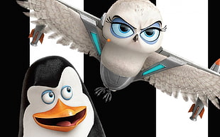penguin and owl Madagascar characters HD wallpaper