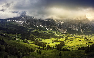mountain view and green trees under cloudy clouds HD wallpaper