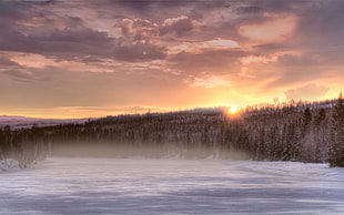 landscape photo of field covered with snow during golden hour