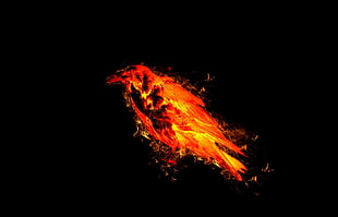 red and yellow flame bird illustration, animals, birds, fire, simple background HD wallpaper