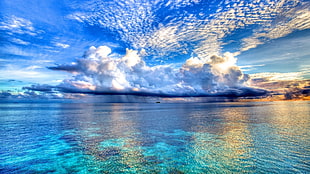 clear body of water under the nimbus clouds HD wallpaper