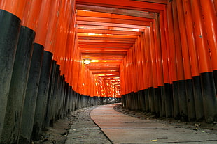 red-and-black pillars, orange, torii, path, Japan HD wallpaper