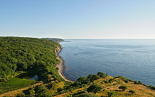 body of water during daytime