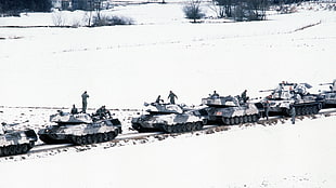 white and black battle tanks, military, tank, Germany, Bundeswehr HD wallpaper