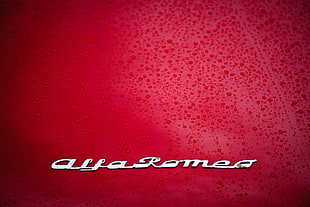 Alfa Romeo logo, car, Alfa Romeo, hood, logo HD wallpaper