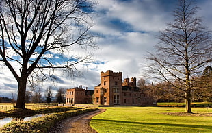 brown concrete castle near tree under blue sky